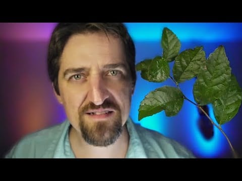 ASMR Leaf Texture 🍃 Sounds Crunchy, Crinkly, Crispy #SleepAid