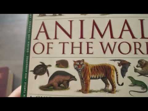 ASMR Books and Reading (soft speaking)