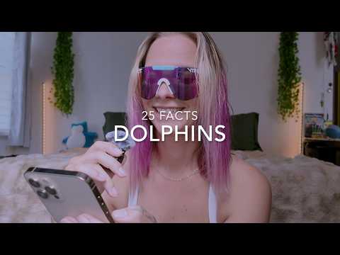ASMR soft spoken 25 facts about dolphins 🐬