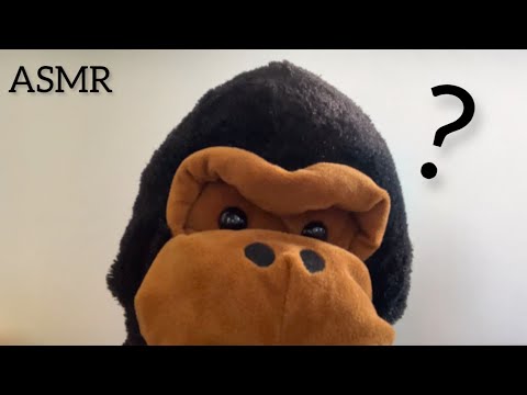 🎥 Static Camera ASMR ⎜Welcome to the World of Stuffed Animals