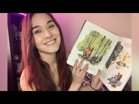 ASMR | A Bedtime Story for Sleep 💤📚