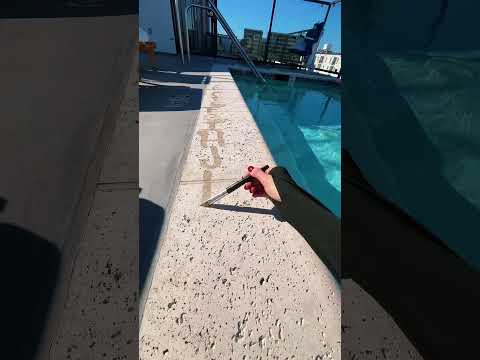 find the mistake alphabet ASMR game at the pool brushing sounds #satisfying #asmr #asmrgame #fyp