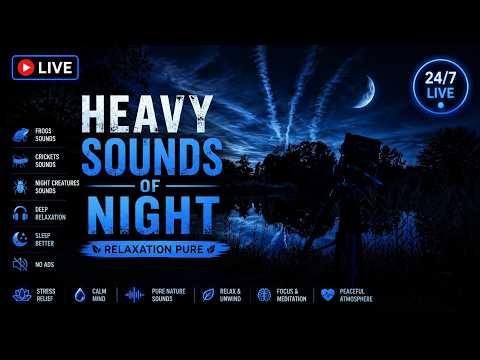 LIVE Deep Screen ASMR  l Night Forest Sounds , Crickets & Frogs for Deep Sleep