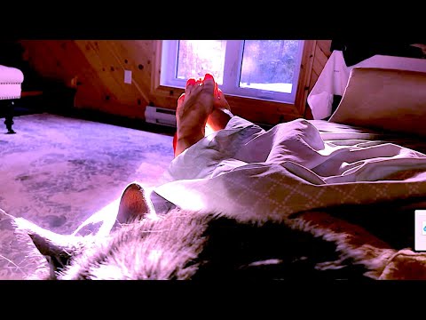 ASMR bare feet petting cat humming in sun relaxing sounds dryer