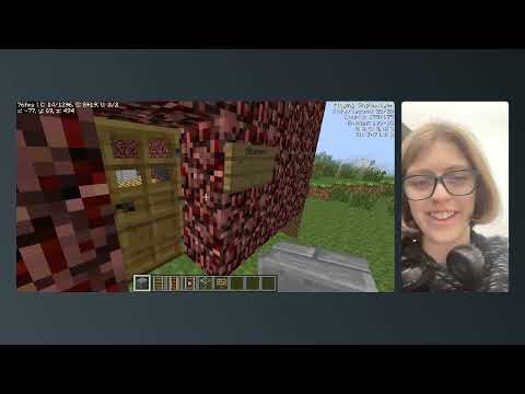 Showing you my Minecraft town.