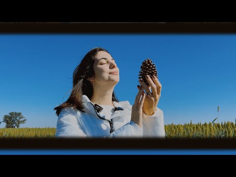 ASMR AO AR LIVRE PARA VOCÊ RELAXAR 🐴 🌾🍃 🦥  Sweet Carol