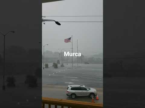 Weathering the Storm