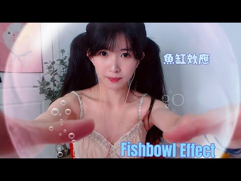 ASMR 魚缸效應 Fishbowl Effect魚缸里採耳 tingle triggers刺激大腦 低語 吹氣 口腔音