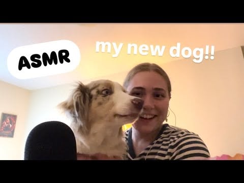 [asmr] meet my new dog and feed him some treats!!!