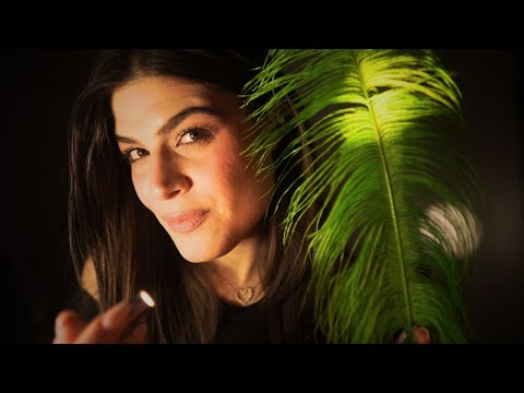 ASMR Se devi Addormentarti IMMEDIATAMENTE | Slow Hand Movements & Follow The Light (Fireplace 🔥)