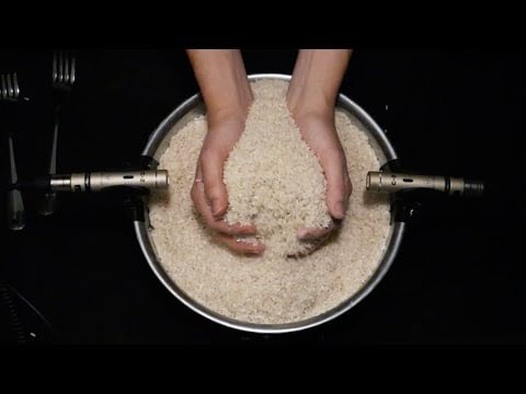 Bowl of Rice ASMR
