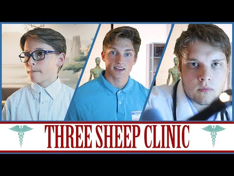 Three Sheep Clinic (Receptionist, Nurse & Doctor ASMR)