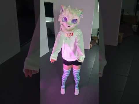 Cat dance