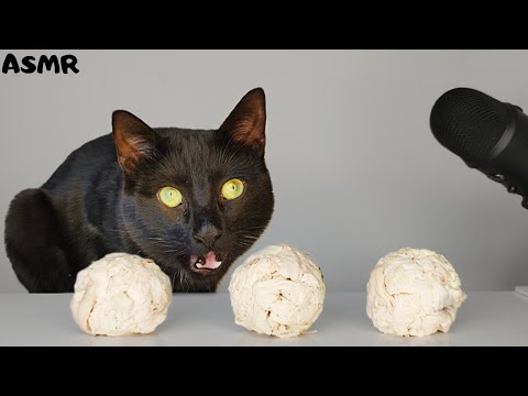 Cat eating chicken ball ASMR