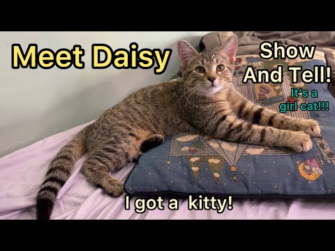 ASMR Show And Tell Whisper - Meet Daisy 🌼