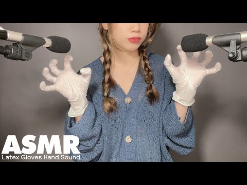 ASMR🌙 잠이오는 라텍스 장갑 손소리ㅣ 어흥🙌 들어오면 안 잡아먹지🐯