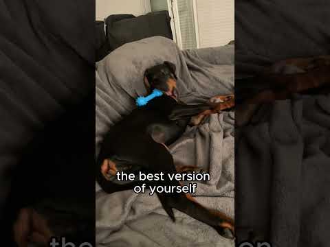 Week 9: Introducing Ebi, my puppy Doberman
