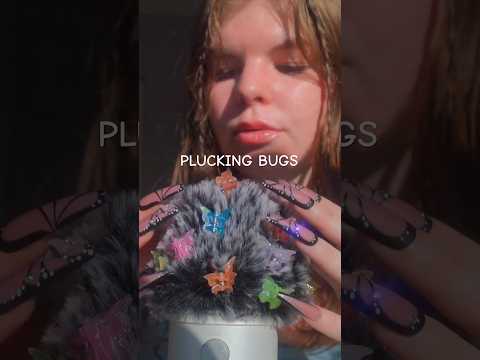 ASMR Plucking Bugs Off the Fluffy Mic 🦋🌙  #asmr
