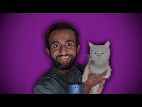 ASMR With My Cat 🐈 #jerry