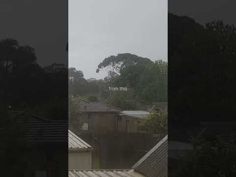 I love rainy weather so much ♥︎ #asmr #rain #weather #asmrsounds #asmrvideo #asmrcommunity #fypシ