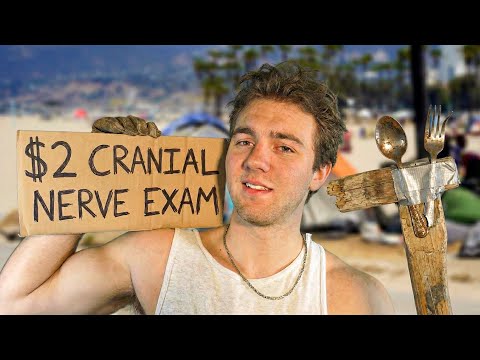 ASMR $2 street cranial nerve exam