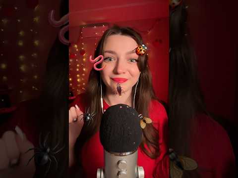 Bugs on your screen #asmr #asmrsounds #asmrrelax #asmrsleep #relax #tingles #asmrvideo