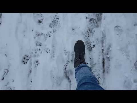 ❄Sonntagsspaziergang im Schnee [ASMR]