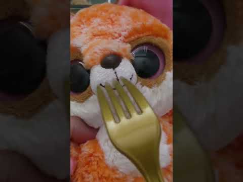 extremely underrated ASMR trigger