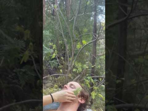 Face massage #asmr #ForYou #TrendingNow #InstaReels #ViralVideo #DailyShorts #Entertainment #FYP