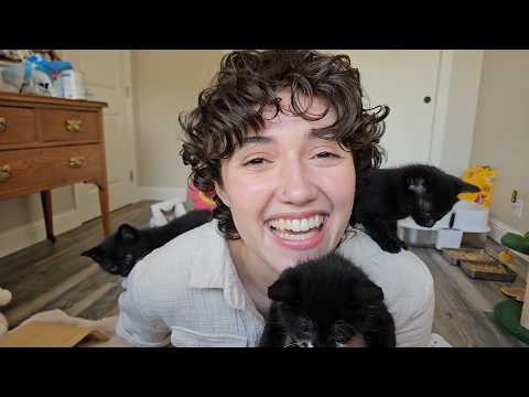 ASMR Storytime How I Got Five New Cats 😻 (purring, whispered, chatty, cat asmr, asmr for sleep)