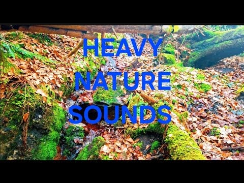 Relaxing Nature Ambience for Sleep (2 Hours)Forest Stream Sounds for Relaxing and Sleep