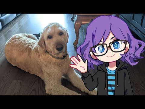Streaming with my nephew who everyone loves