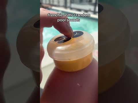 random pool asmr with a dog #asmr #relax #randomasmr #lofiasmr #relaxtime