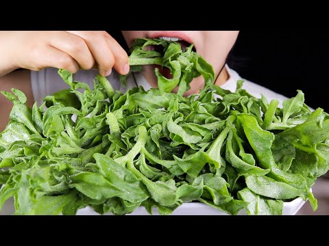 ASMR ICE PLANT | Diet Journey Part1 (Day3) | Eating Sounds No Talking