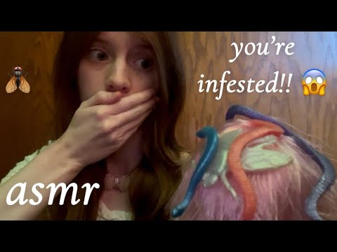 asmr your hair is infested with bugs! 🪱 (lofi roleplay)