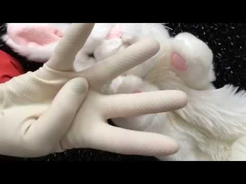 Bunny time with Rubber Gloves [[ASMR]]