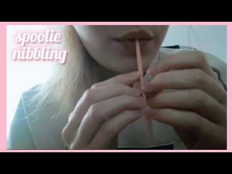lofi asmr | spoolie nibbling ☁️ [the wand and the brush]