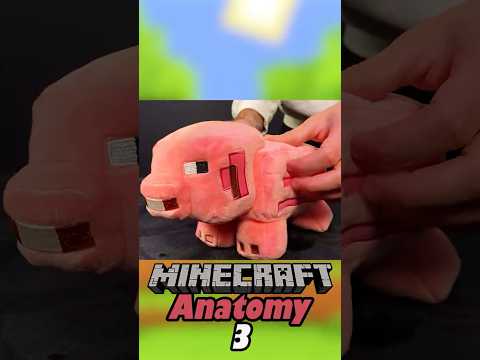 Anatomy of a Minecraft Pig 3🐷