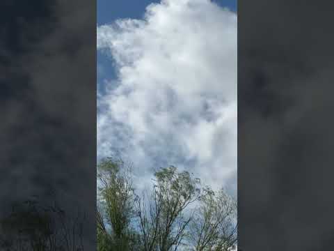 Soft wind sounds for relaxing #shortvideo #wind