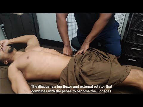 Sports Massage - Personal Trainer's Psoas