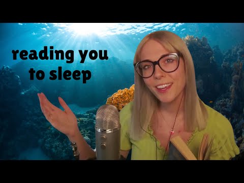 Soft Spoken ASMR Reading Jules Verne 20,000 Leagues Under The Sea Chapter 11 & 12