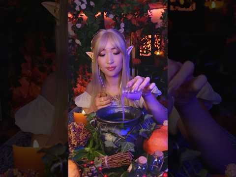 ELIXIR DES SONGES (partie 2 sur 3)
