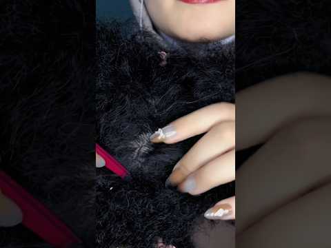 Scalp Scratching Afro #asmr #relax #visualtingle #satisfying #asmrmouthsounds