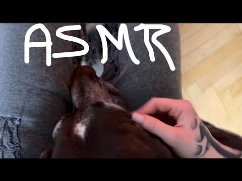 Asmr but the triggers changes every view seconds 👾