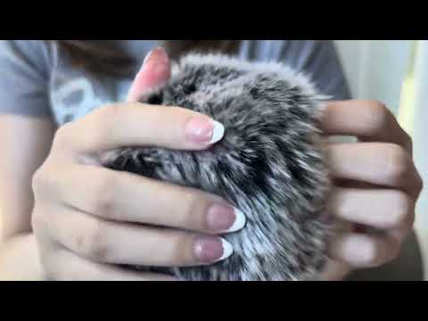 ASMR My Favorite Triggers! (mouth sounds, hand sounds, tapping, scratching + more)