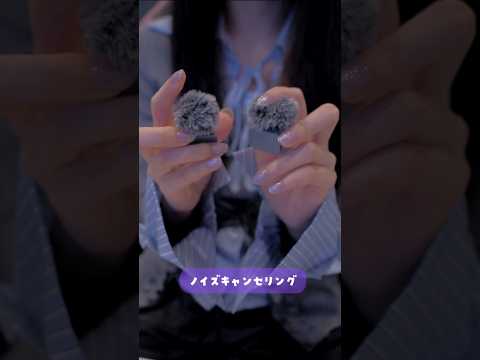 これが一万円台！？最新ワイヤレスマイクがASMRに最適すぎた！#micmini2 #djimini2 #asmr #無糖しお