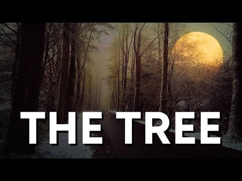HP LOVECRAFT - The Tree, 1920 + Spooky Forest Ambience | ASMR Reading For Relaxation Relief