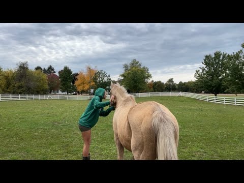 ASMR Vlog - Spend a Day with Me