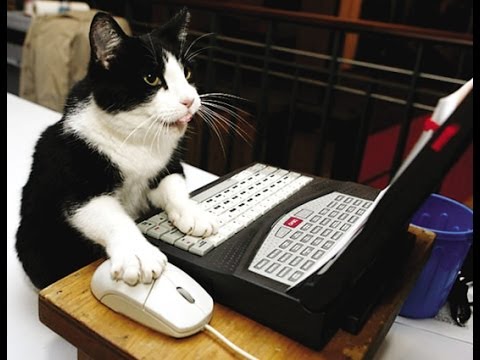ASMR ROLE PLAY- SETTING UP PET INSURANCE  TYPING SOUNDS / TAPPING / SOFT SPOKEN BINAURAL
