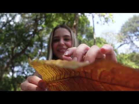ASMR  AO AR LIVRE - SONS DA NATUREZA E SONS SE BOCA 